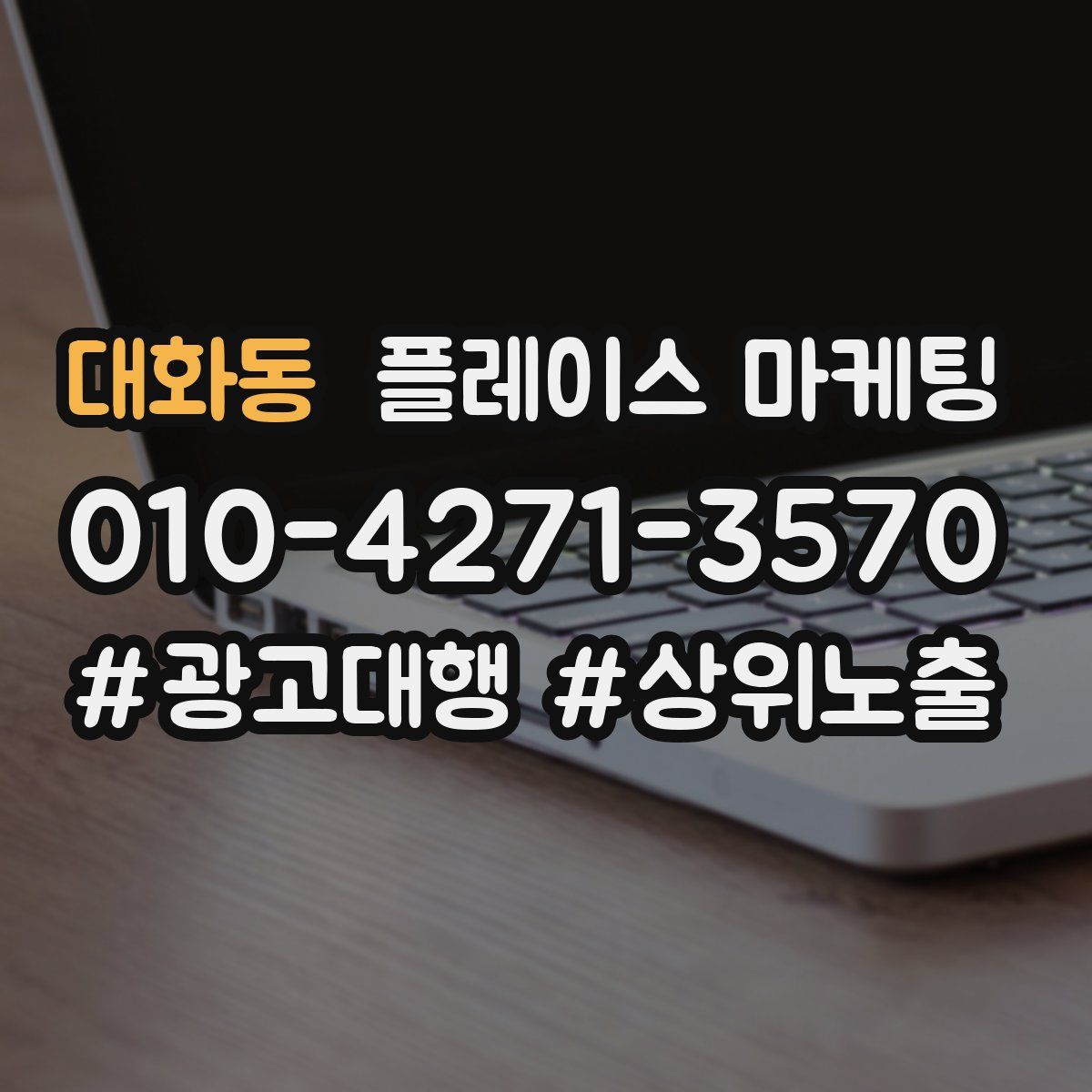 대화동 플레이스 마케팅