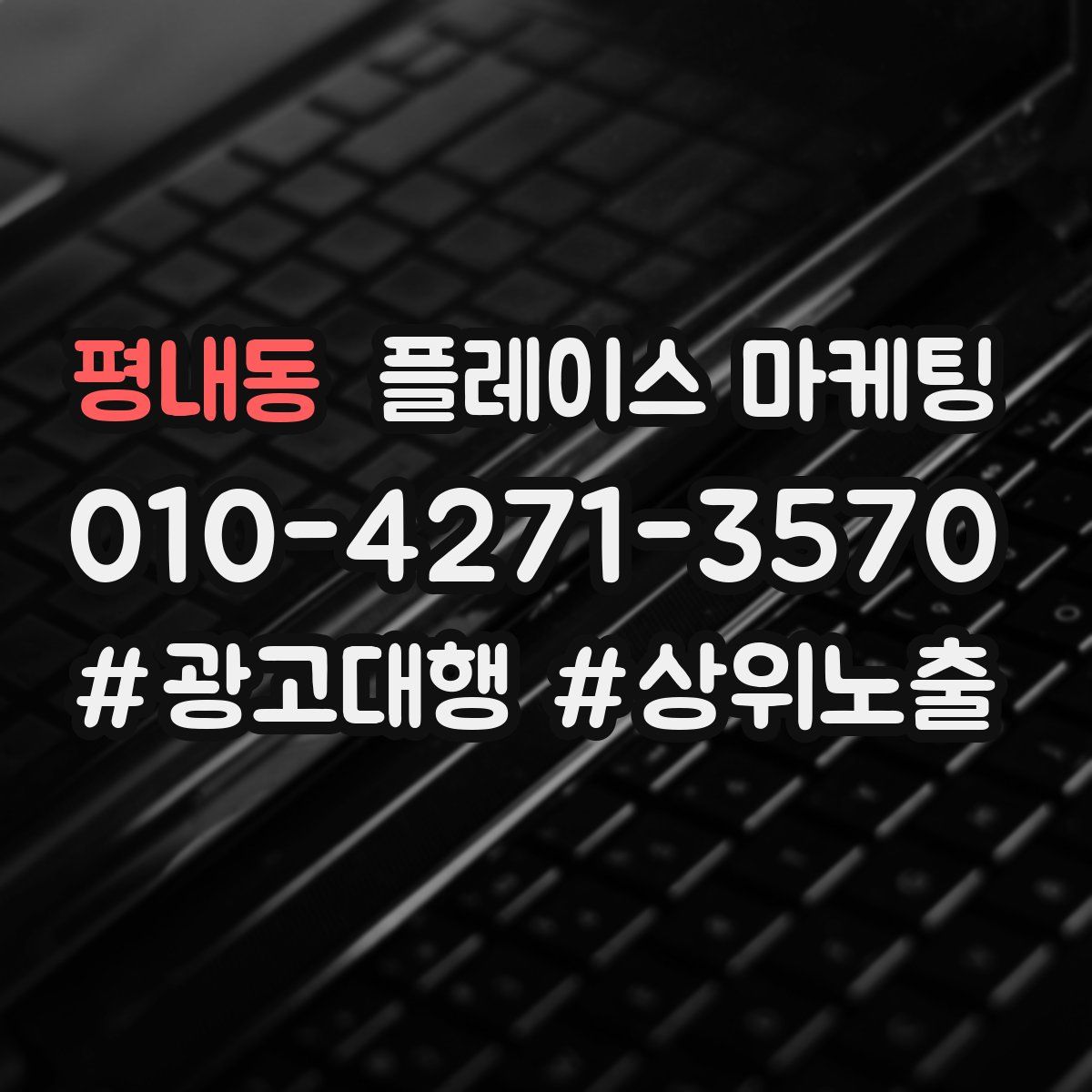 평내동 플레이스 마케팅