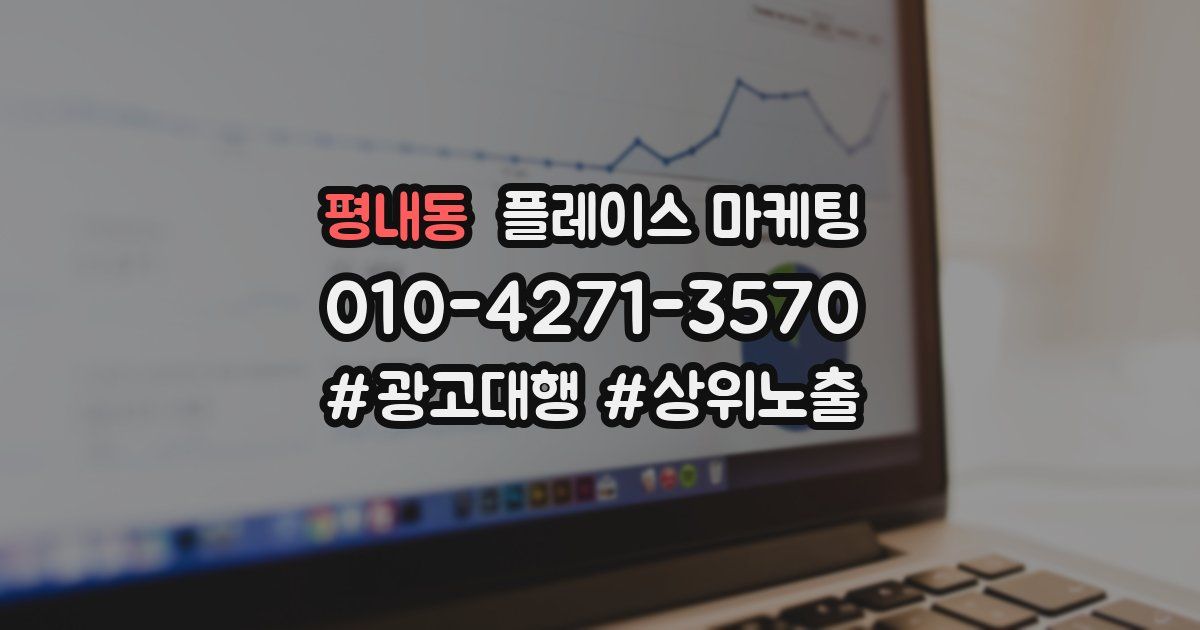 평내동 플레이스 마케팅