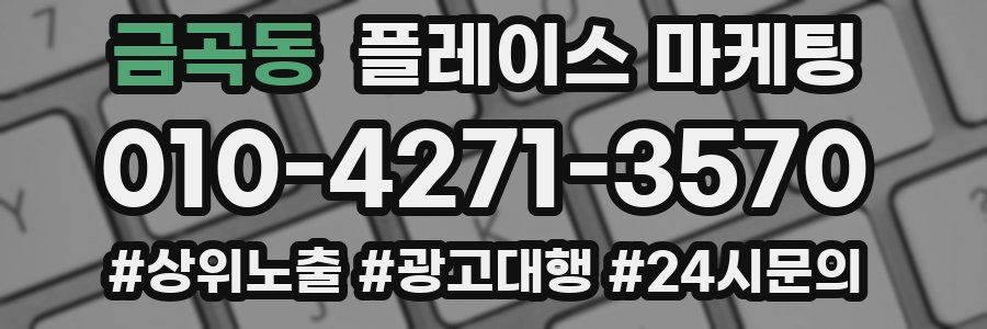 금곡동 플레이스 마케팅
