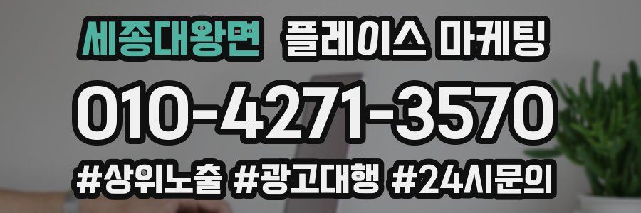 세종대왕면 플레이스 마케팅