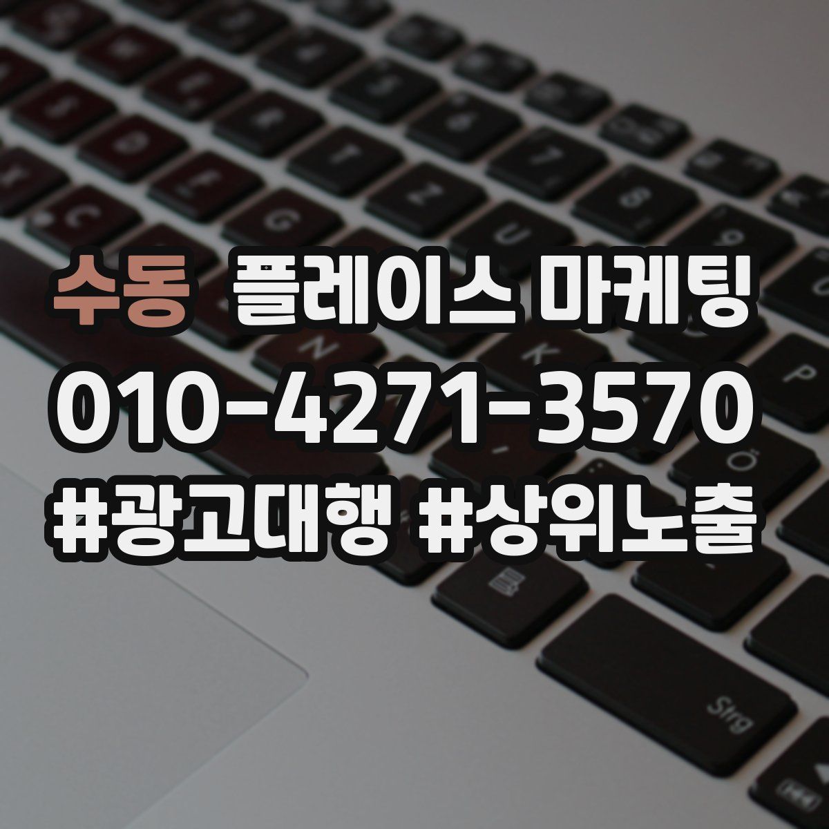 수동 플레이스 마케팅
