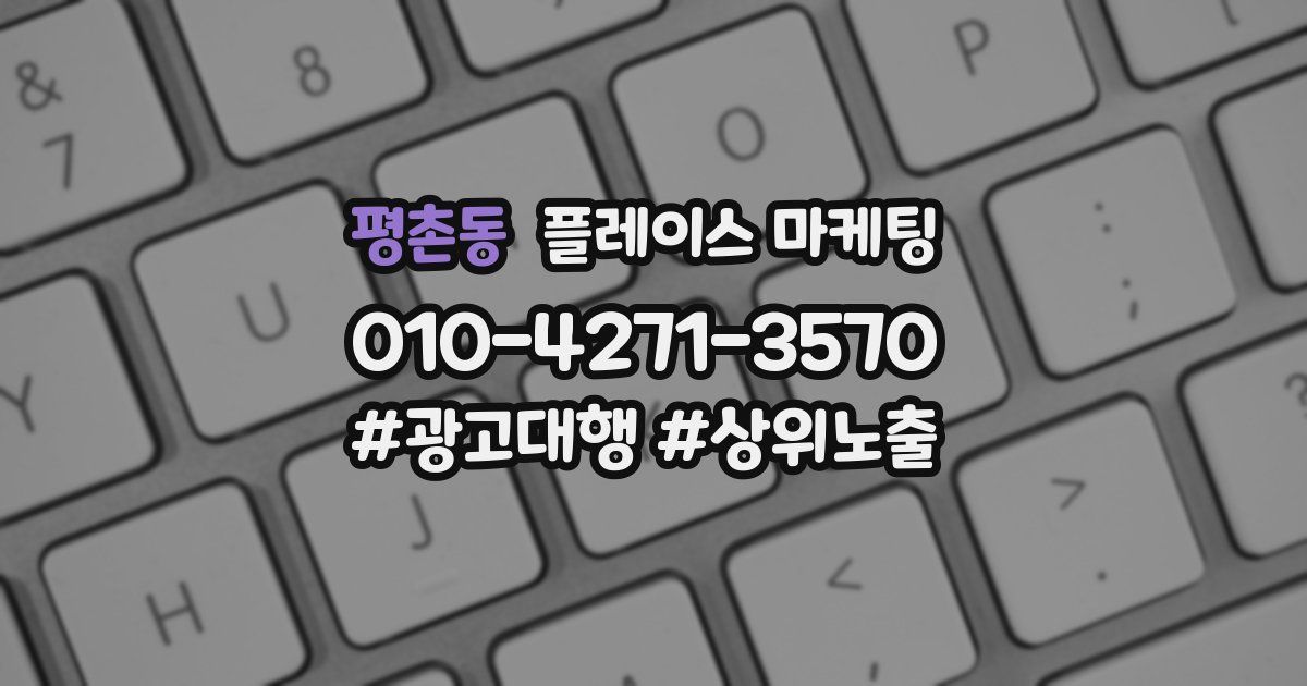 평촌동 플레이스 마케팅