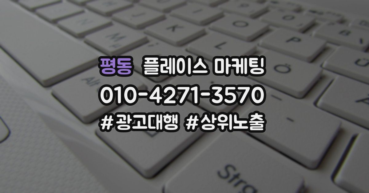 평동 플레이스 마케팅