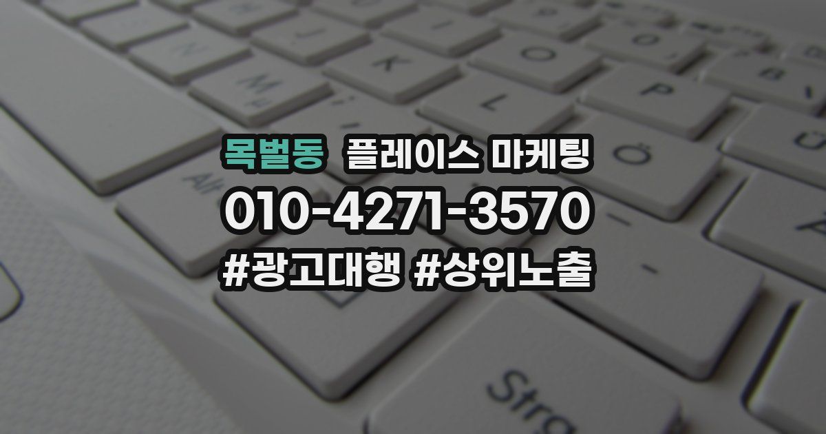 목벌동 플레이스 마케팅