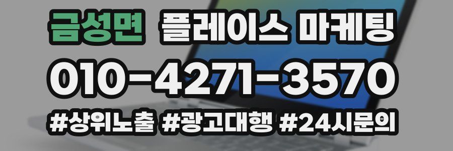 금성면 플레이스 마케팅