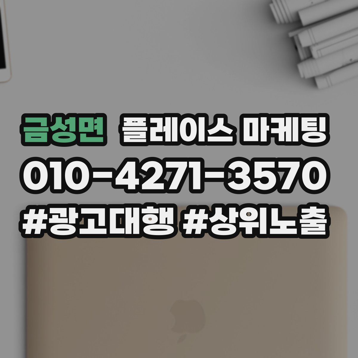 금성면 플레이스 마케팅