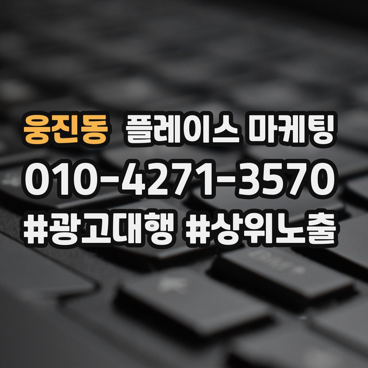 웅진동 플레이스 마케팅