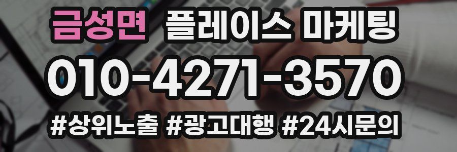 금성면 플레이스 마케팅