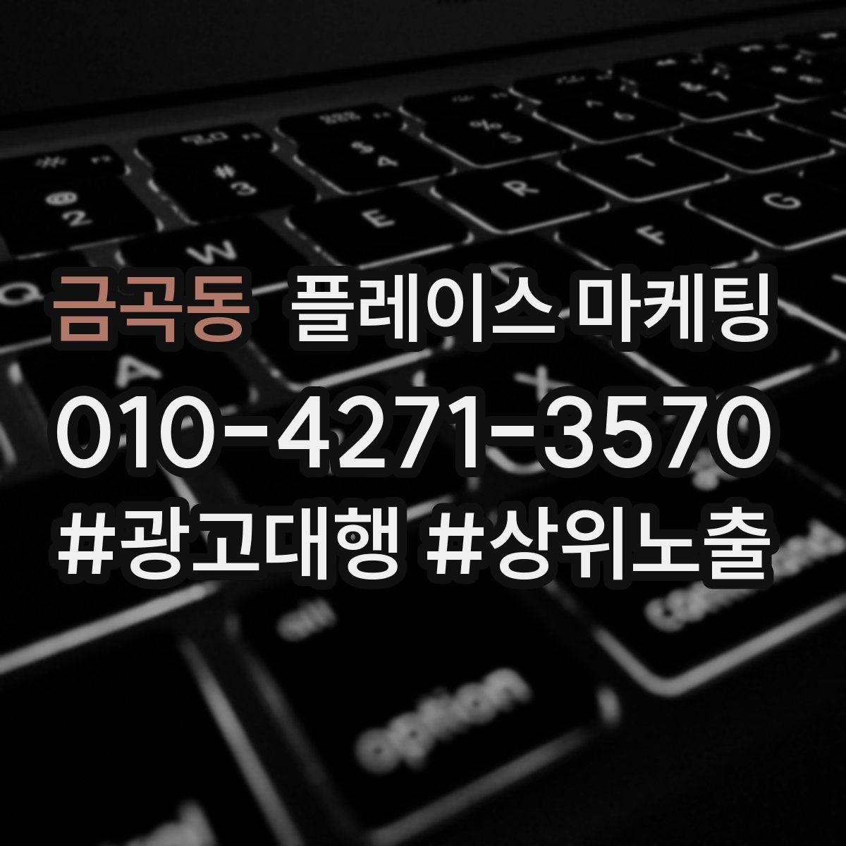 금곡동 플레이스 마케팅