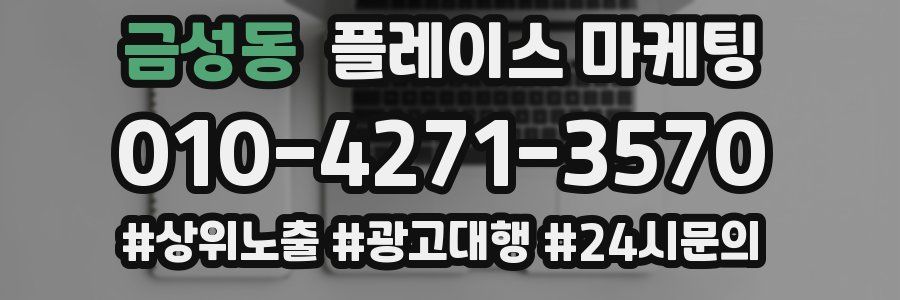 금성동 플레이스 마케팅