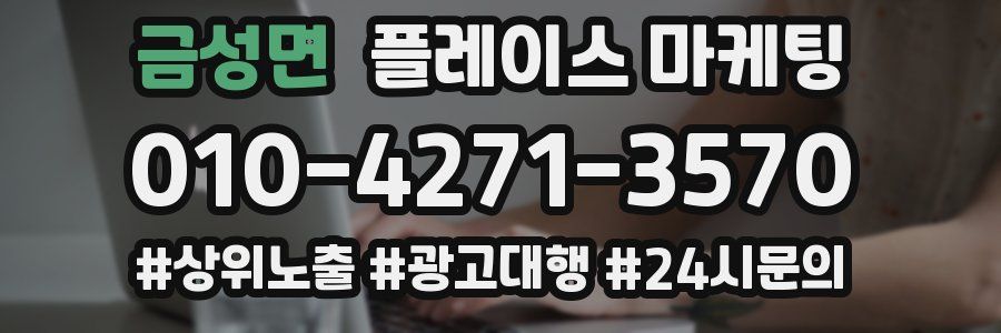 금성면 플레이스 마케팅