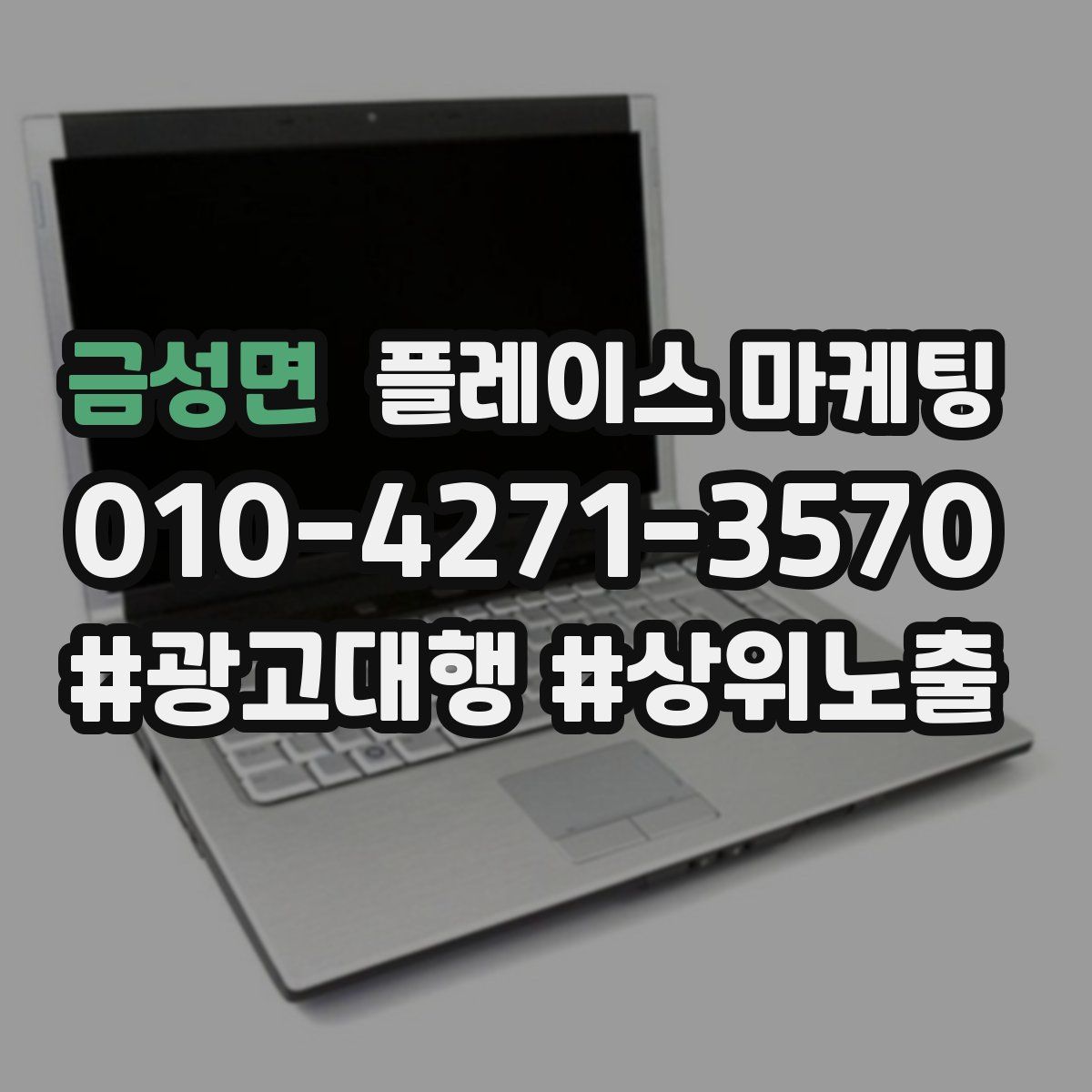 금성면 플레이스 마케팅