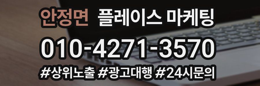 안정면 플레이스 마케팅