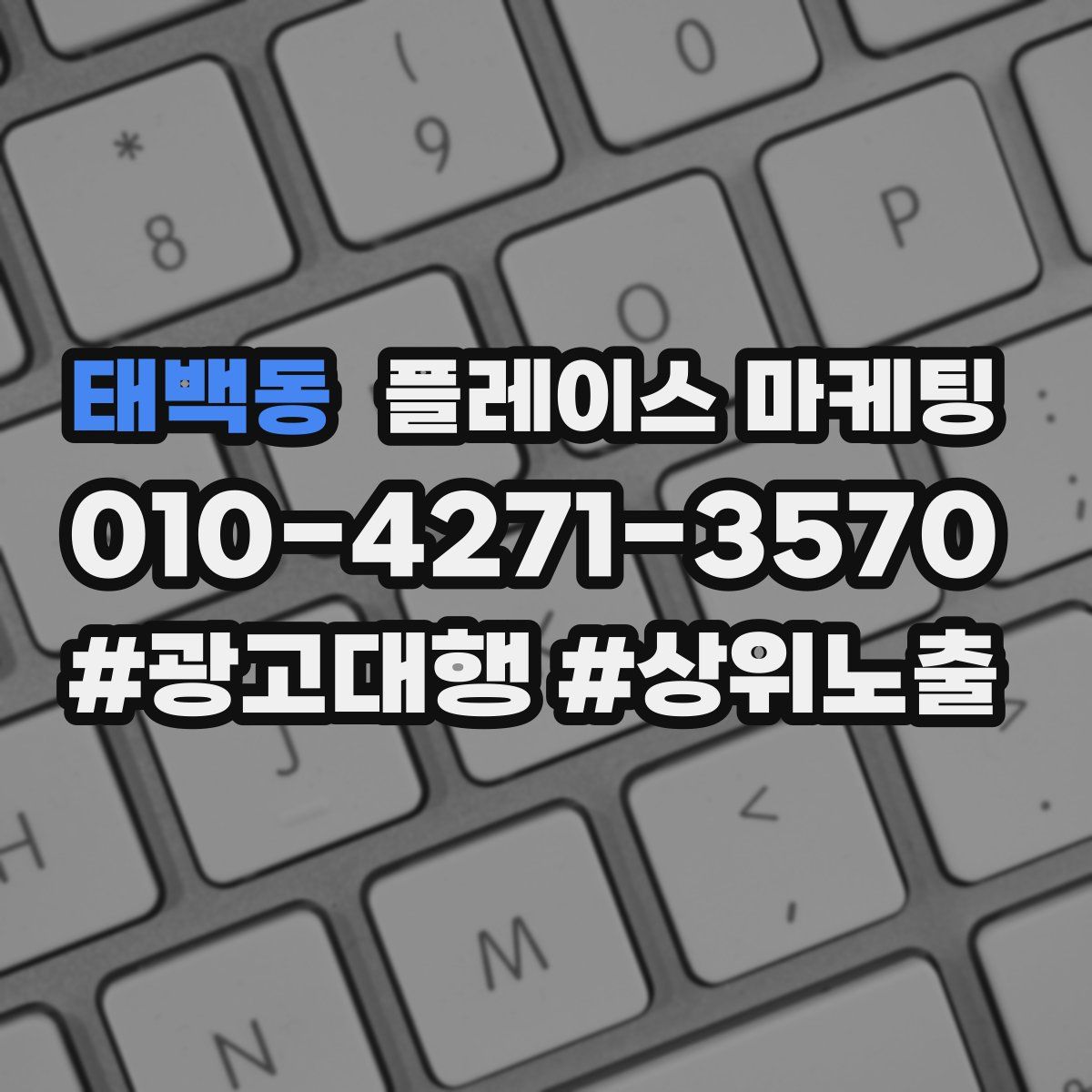 태백동 플레이스 마케팅