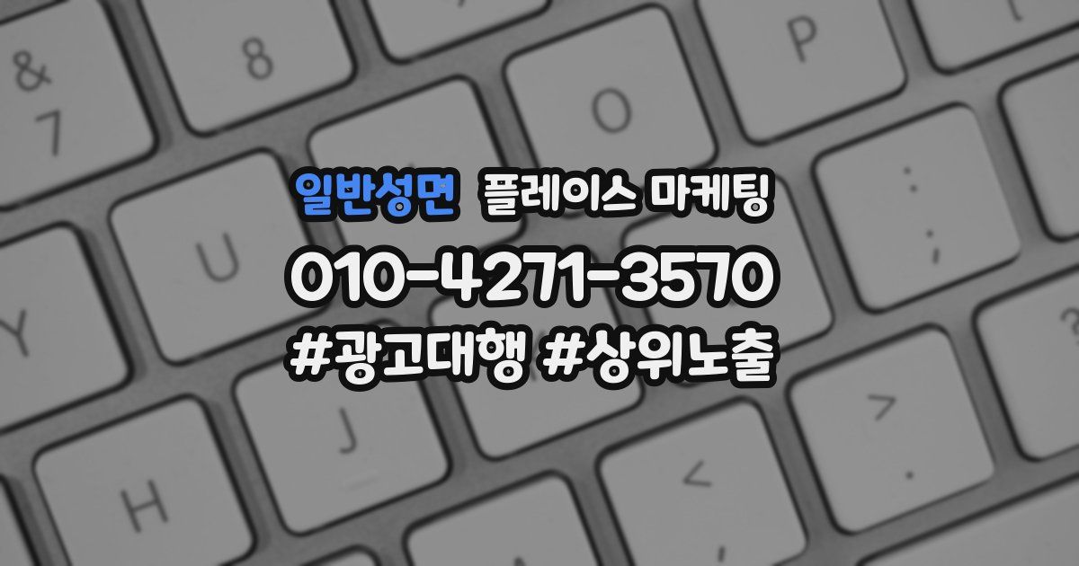 일반성면 플레이스 마케팅