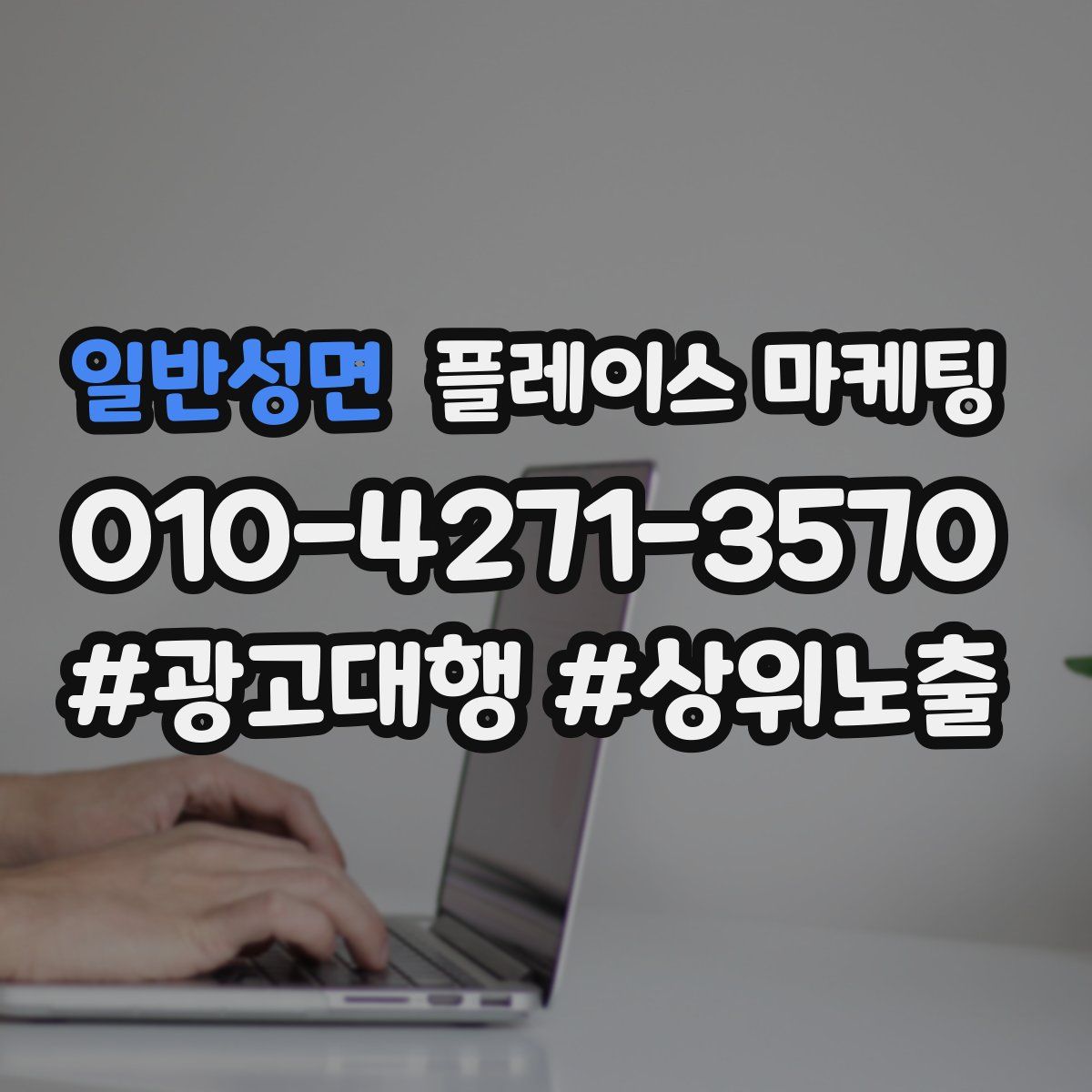 일반성면 플레이스 마케팅