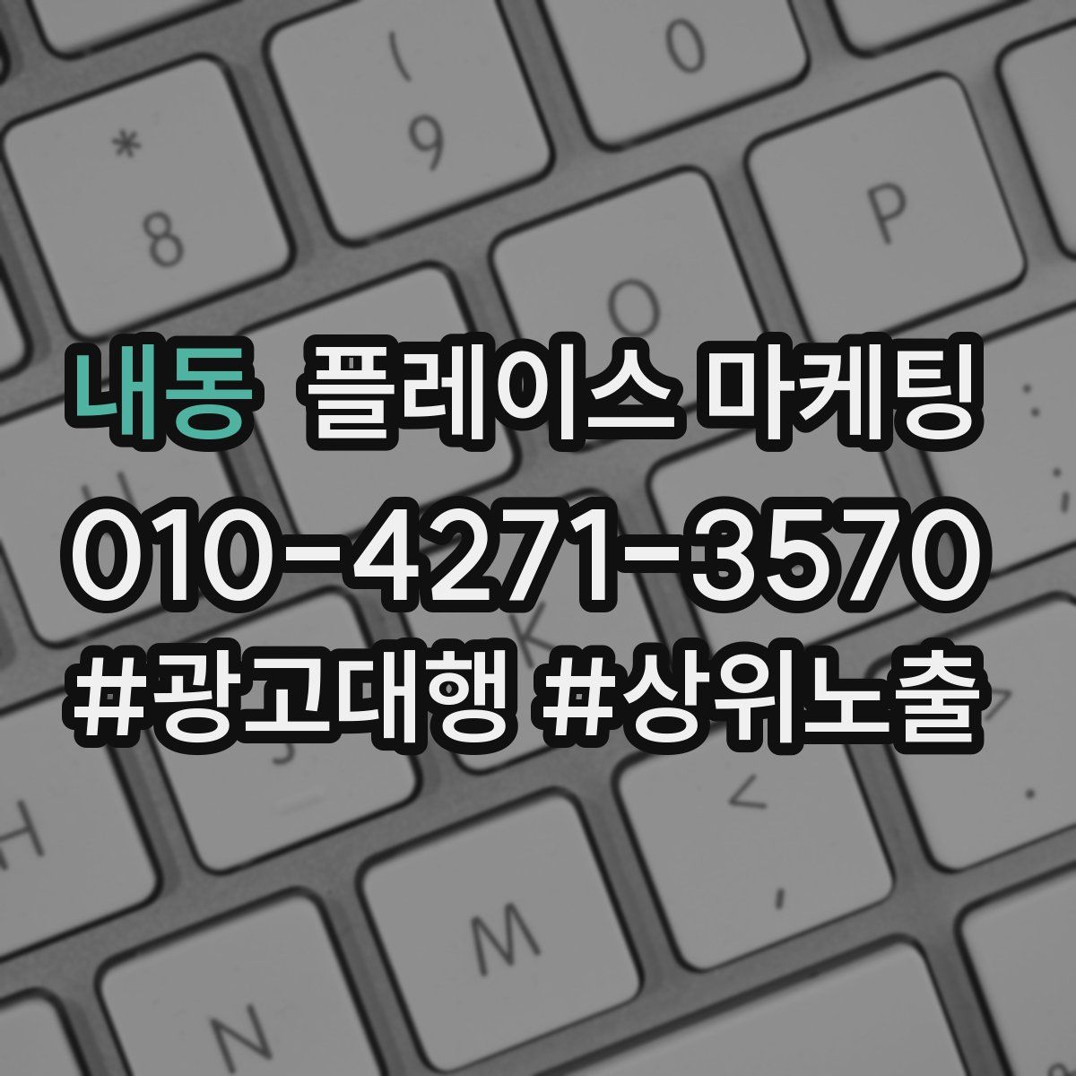 내동 플레이스 마케팅