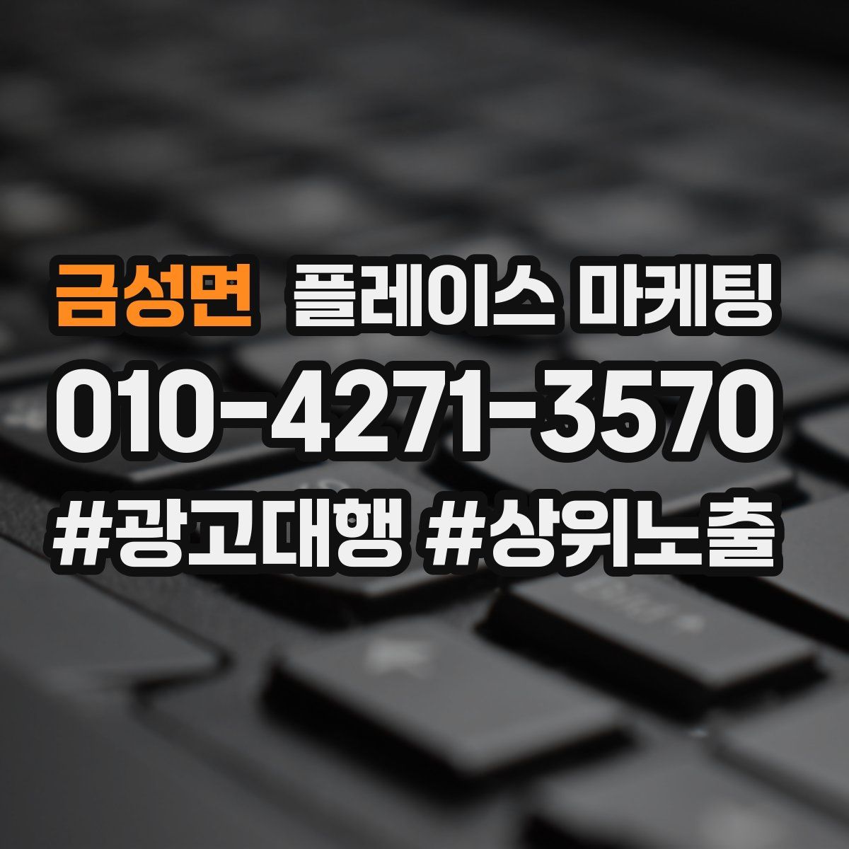 금성면 플레이스 마케팅