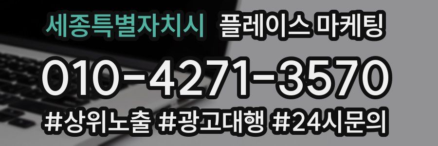 세종특별자치시 플레이스 마케팅