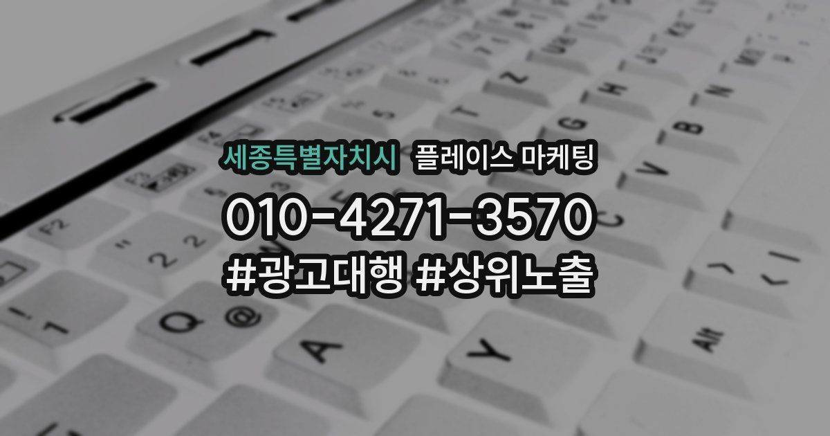 세종특별자치시 플레이스 마케팅