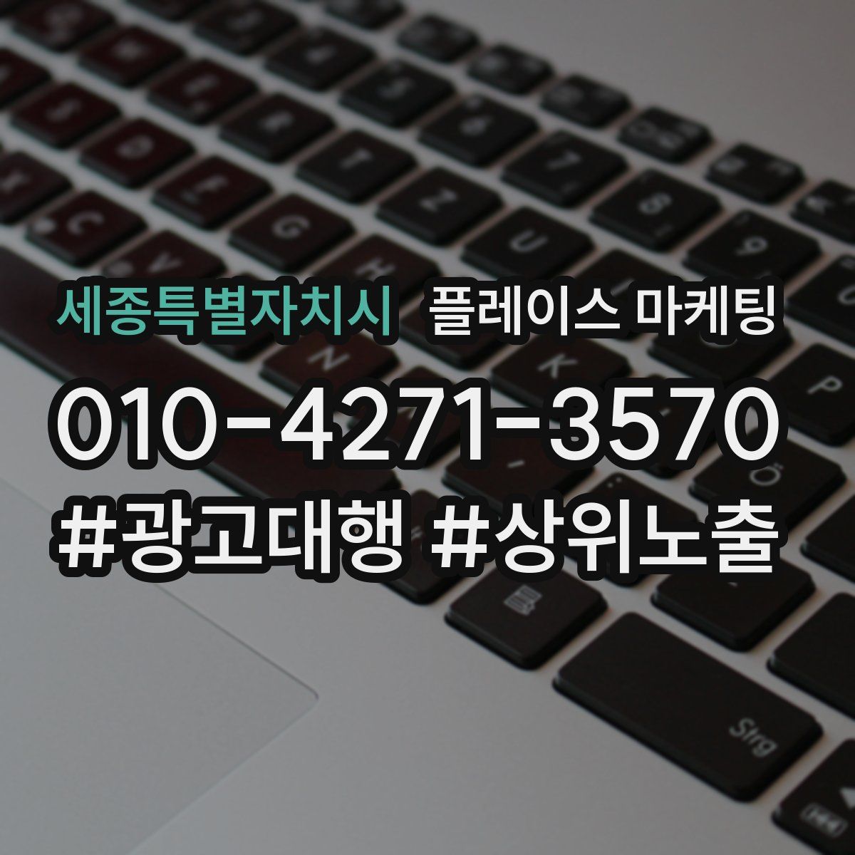 세종특별자치시 플레이스 마케팅