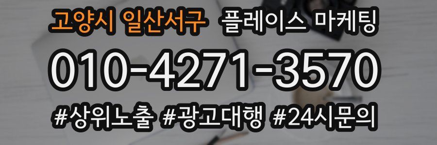 고양시 일산서구 플레이스 마케팅