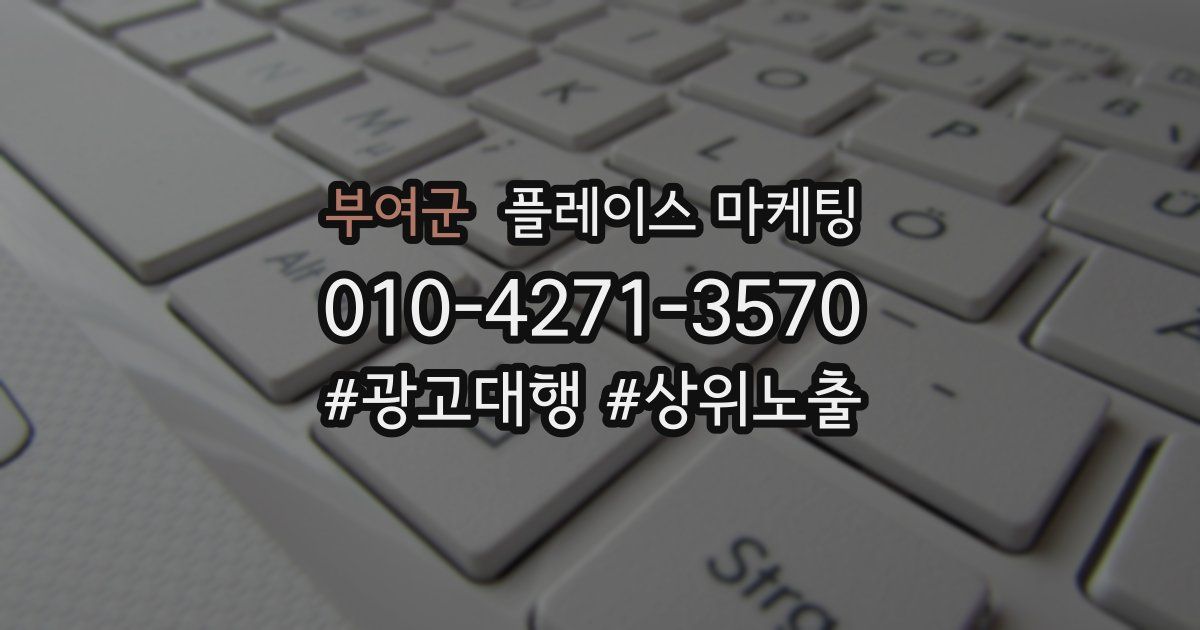 부여군 플레이스 마케팅