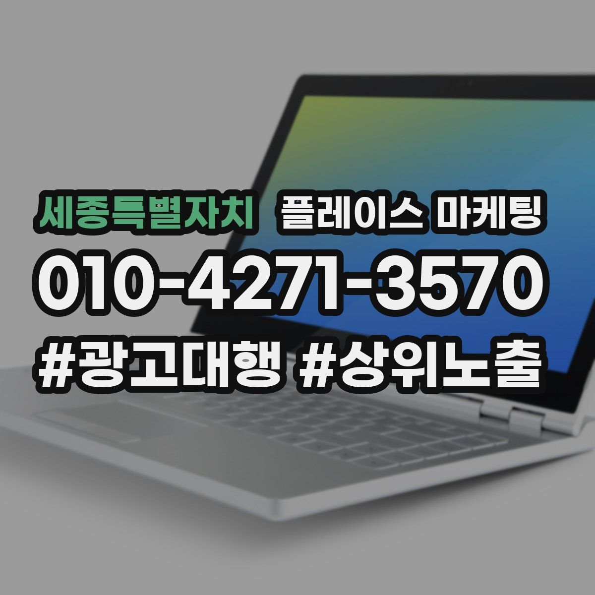 세종특별자치 플레이스 마케팅