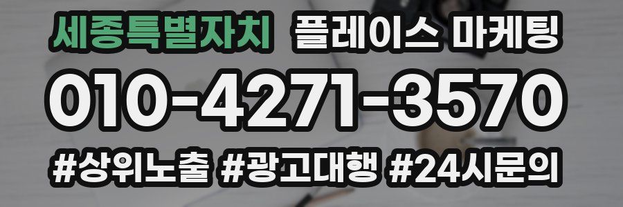 세종특별자치 플레이스 마케팅