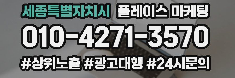 세종특별자치시 플레이스 마케팅