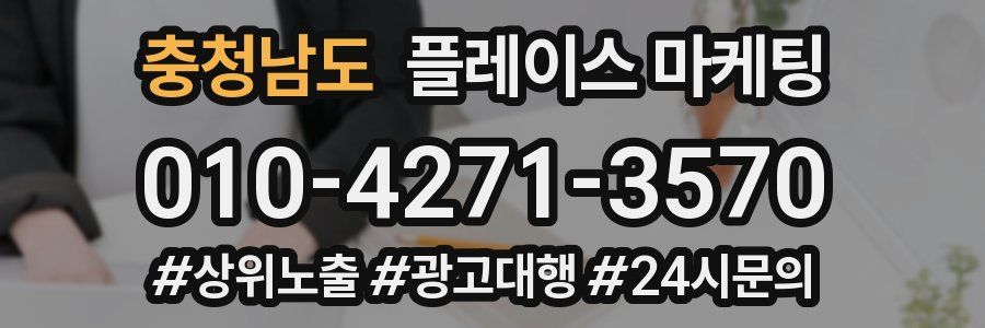 충청남도 플레이스 마케팅