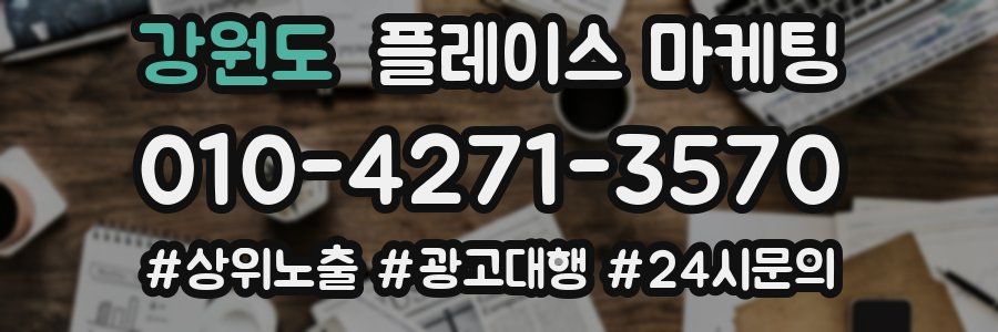 강원도 플레이스 마케팅