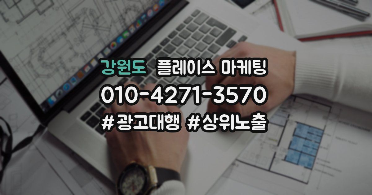 강원도 플레이스 마케팅