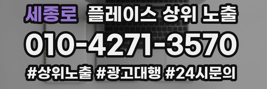 세종로 플레이스 상위 노출