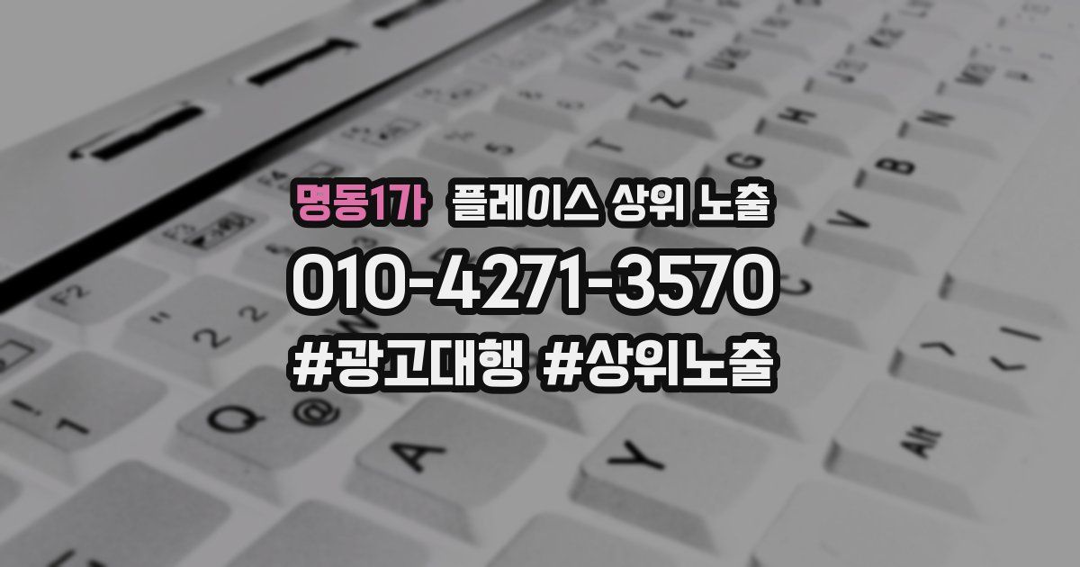 명동1가 플레이스 상위 노출