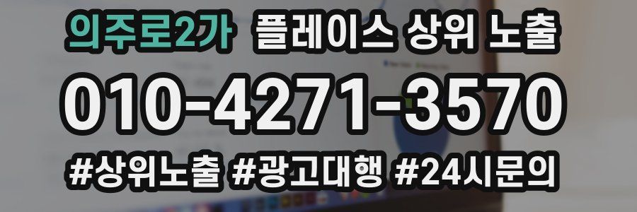 의주로2가 플레이스 상위 노출