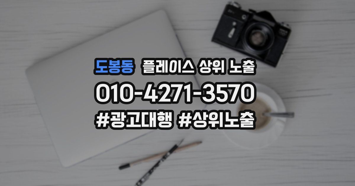 도봉동 플레이스 상위 노출