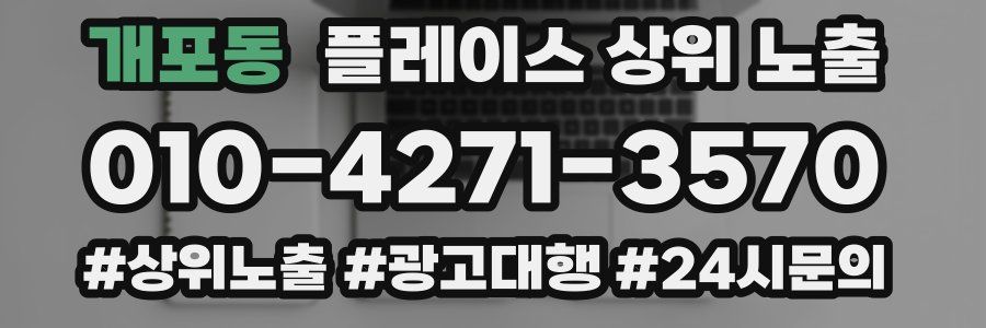 개포동 플레이스 상위 노출