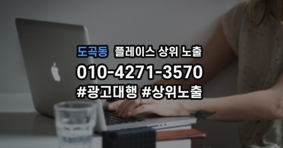 도곡동 플레이스 상위 노출