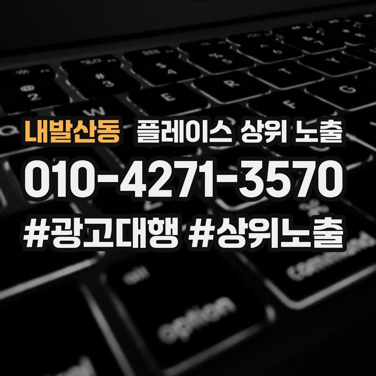 내발산동 플레이스 상위 노출 최저가 대신 신뢰를 주는 문구