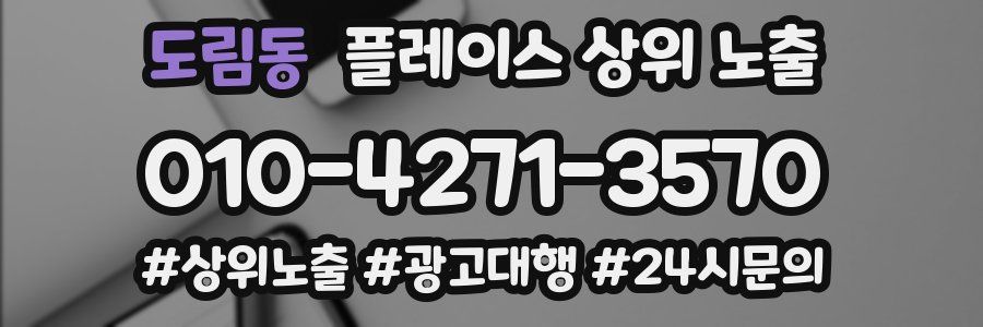 도림동 플레이스 상위 노출