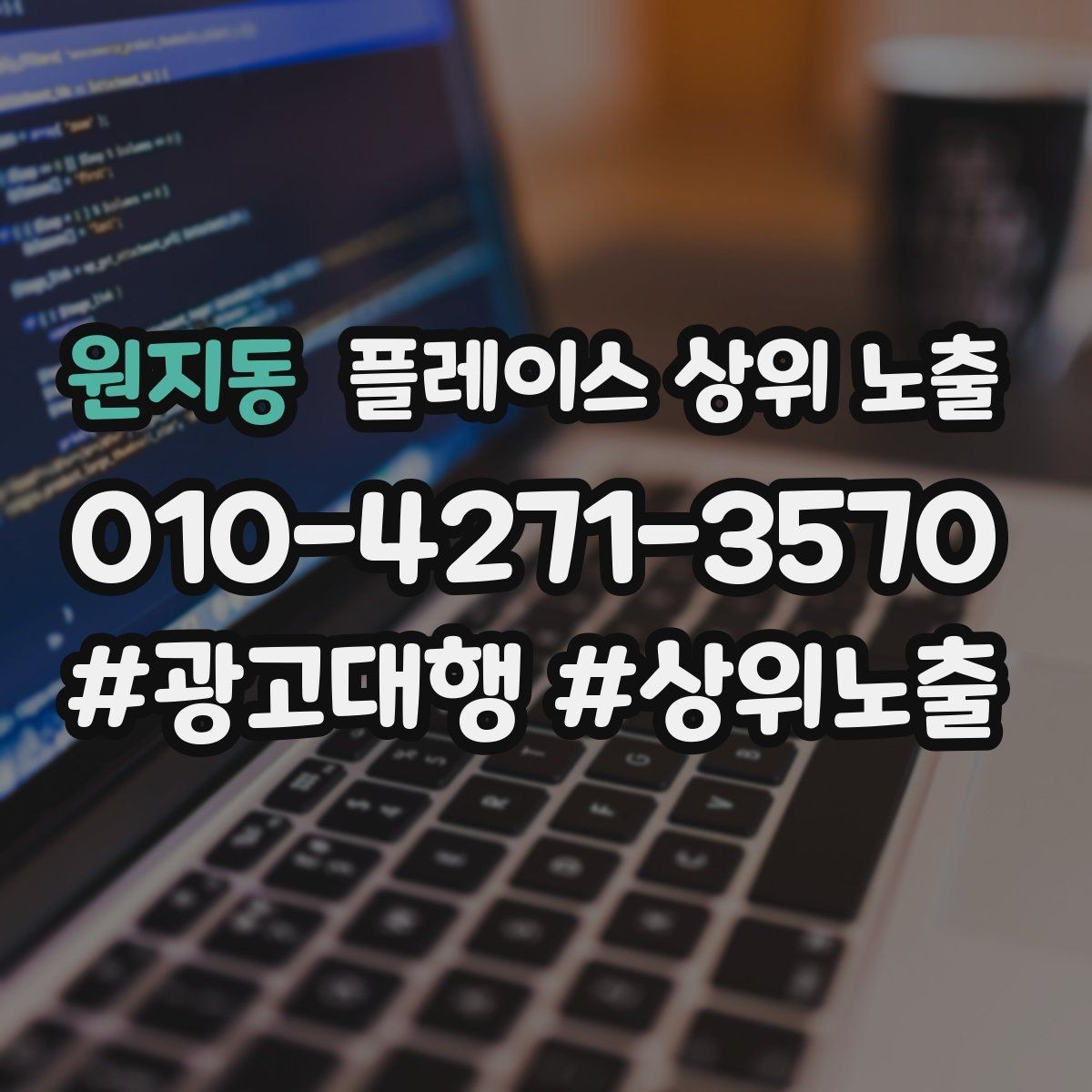 원지동 플레이스 상위 노출 주소 지도 핀 오류로 순위가 흔들리는 이유