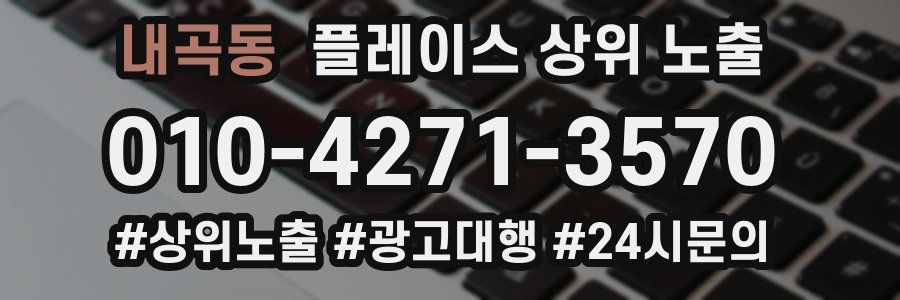 내곡동 플레이스 상위 노출
