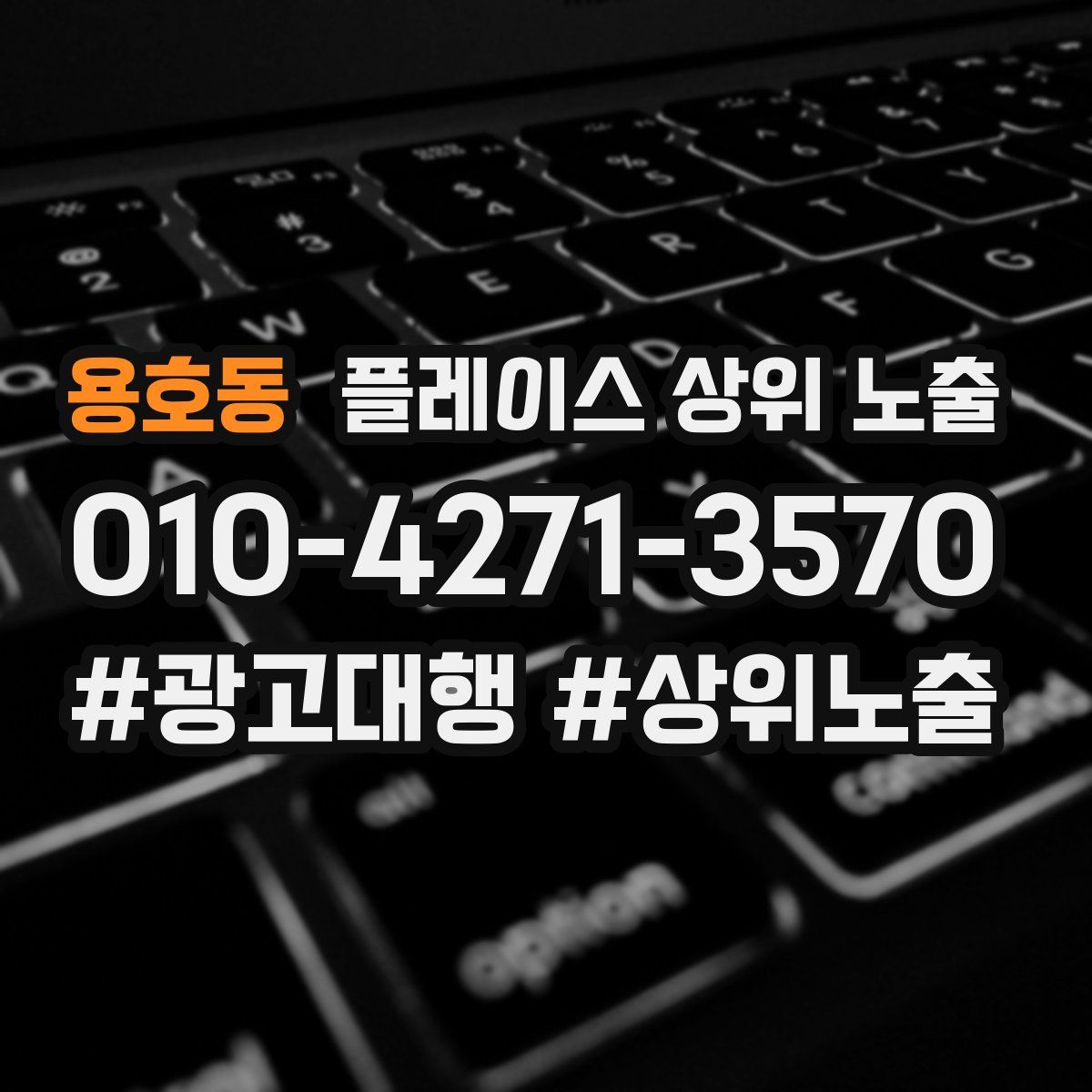 용호동 플레이스 상위 노출
