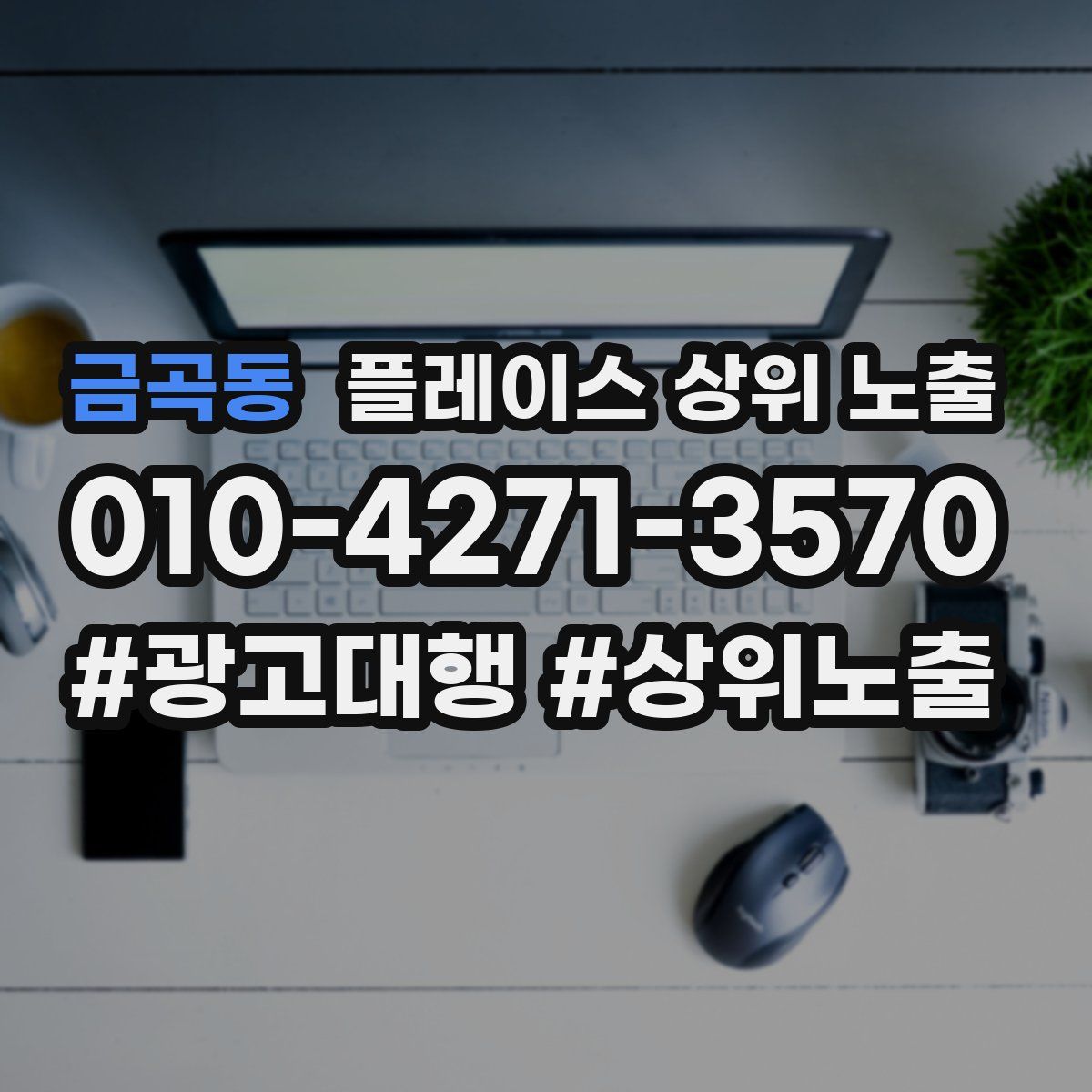 금곡동 플레이스 상위 노출