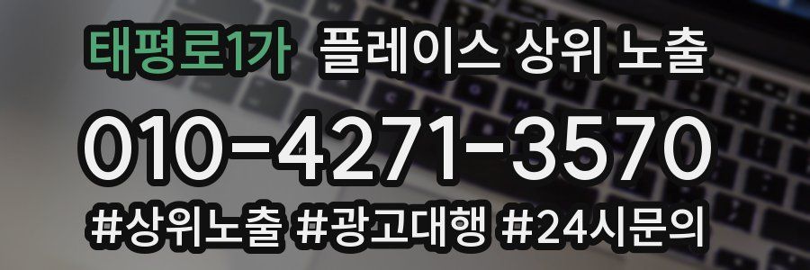 태평로1가 플레이스 상위 노출