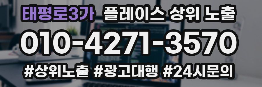 태평로3가 플레이스 상위 노출