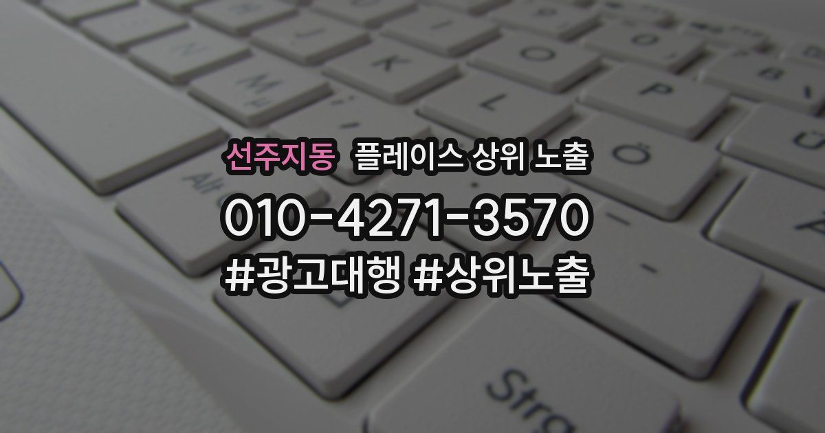 선주지동 플레이스 상위 노출
