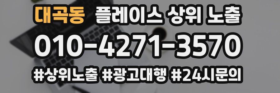 대곡동 플레이스 상위 노출